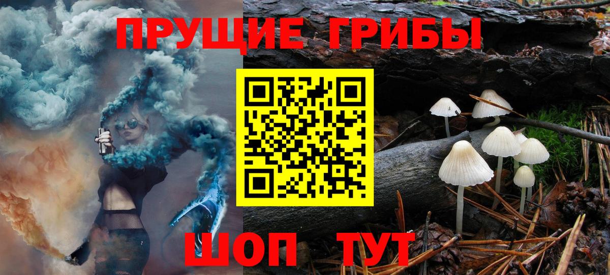 Раменское  даркнет сайт  Вход с VPN  Галлюциногенные грибы Psilocybe 